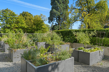 Garden area